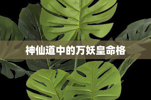 神仙道中的万妖皇命格图片