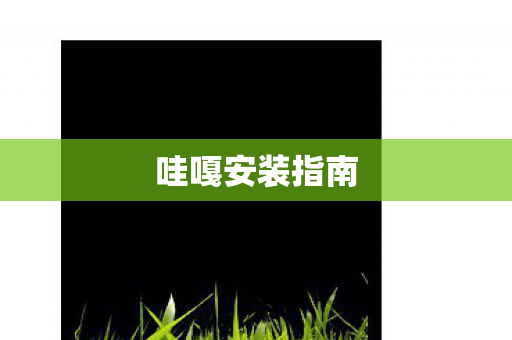哇嘎安装指南 哇嘎安装指南
