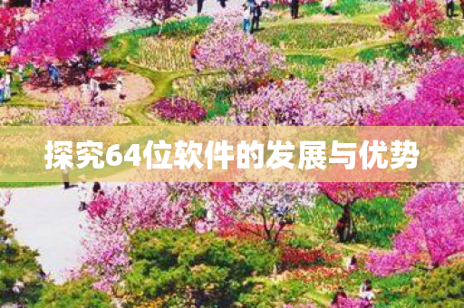 探究64位软件的发展与优势图片