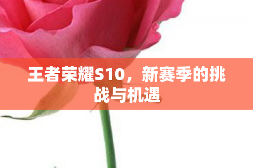 新赛季的挑战与机遇图片