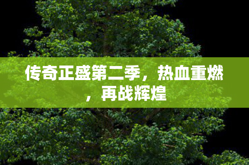 传奇正盛第二季,热血重燃,再战辉煌 传奇正盛第二季,热血重燃,再战辉煌