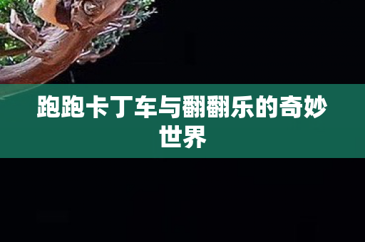 跑跑卡丁车与翻翻乐的奇妙世界 跑跑卡丁车与翻翻乐的奇妙世界