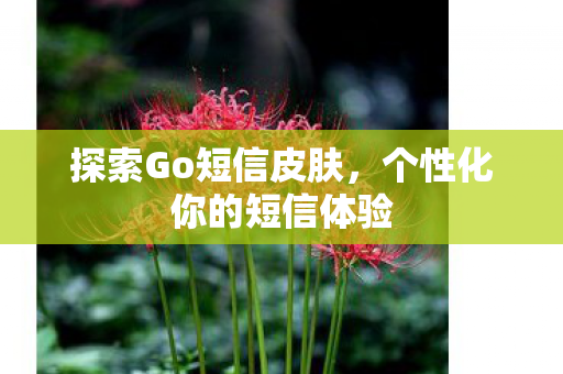 个性化你的短信体验图片