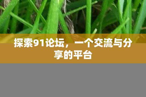 一个交流与分享的平台图片