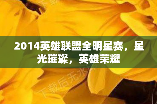 2014英雄联盟全明星赛图片