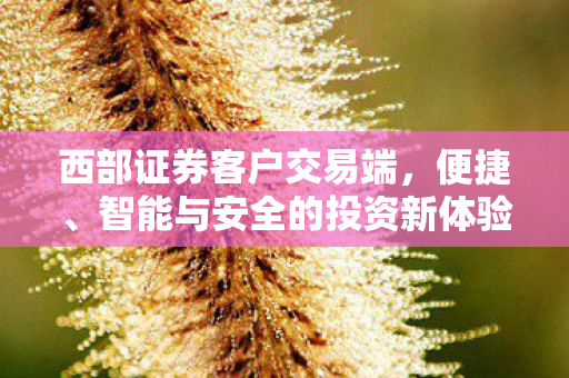 智能与安全的投资新体验图片