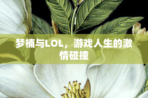 游戏人生的激情碰撞图片