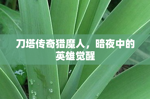 暗夜中的英雄觉醒图片