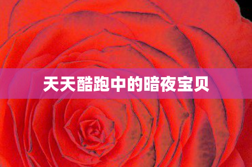 天天酷跑中的暗夜宝贝图片