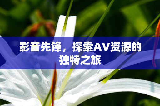 探索AV资源的独特之旅图片