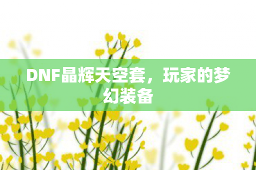 DNF晶辉天空套图片