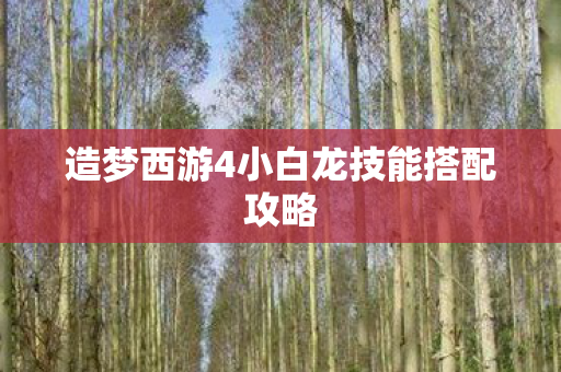 造梦西游4小白龙技能搭配攻略图片