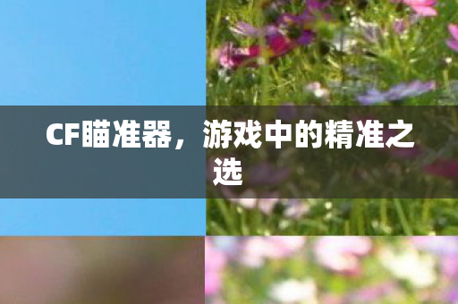 游戏中的精准之选图片