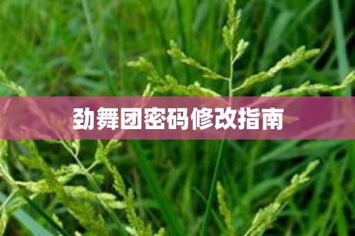 劲舞团密码修改指南图片