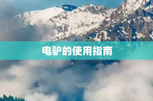 电驴的使用指南图片