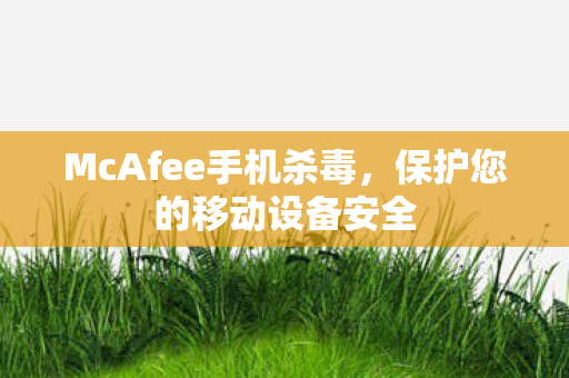 McAfee手机杀毒图片
