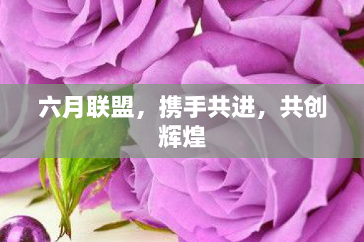 六月联盟图片