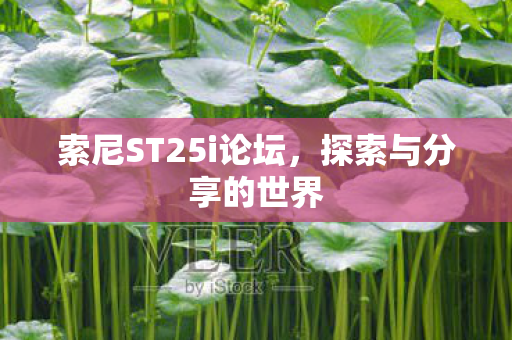 索尼ST25i论坛图片