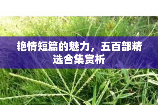 五百部精选合集赏析图片