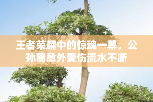 公孙离意外受伤流水不断图片
