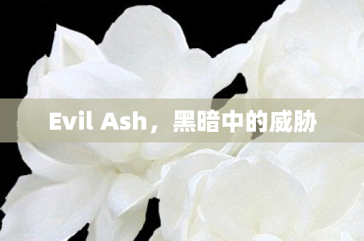 Evil Ash图片