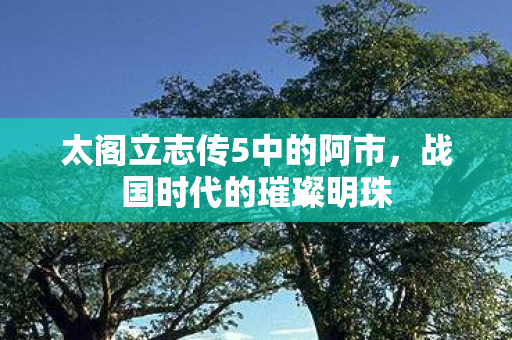 太阁立志传5中的阿市图片