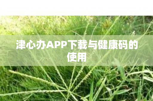津心办APP下载与健康码的使用图片