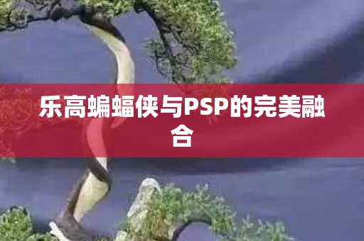 乐高蝙蝠侠与PSP的完美融合图片