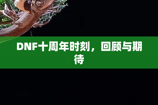 DNF十周年时刻图片