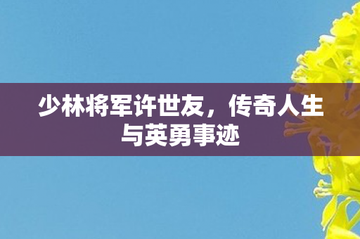 传奇人生与英勇事迹图片