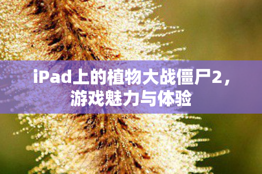 iPad上的植物大战僵尸2图片