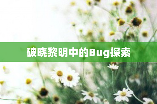 破晓黎明中的Bug探索图片