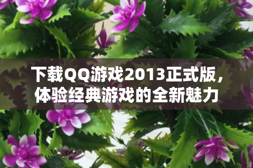 下载QQ游戏2013正式版图片