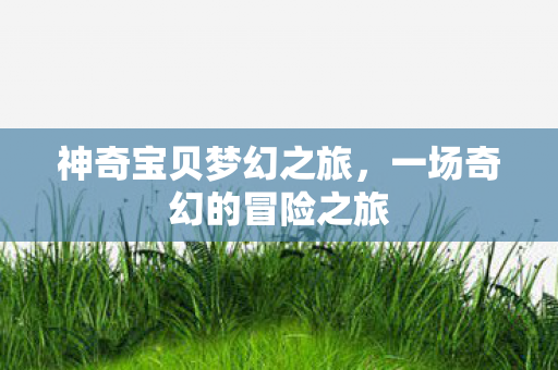一场奇幻的冒险之旅图片