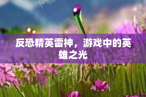 游戏中的英雄之光图片
