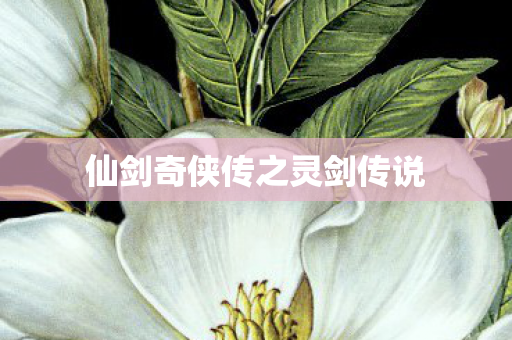 仙剑奇侠传之灵剑传说图片
