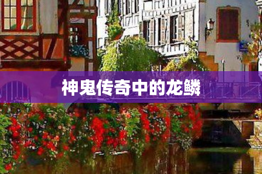 神鬼传奇中的龙鳞图片