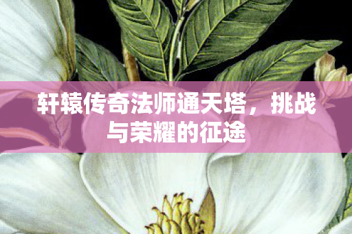 轩辕传奇法师通天塔图片