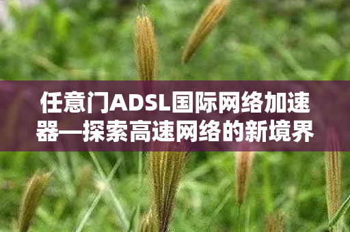 任意门ADSL国际网络加速器图片