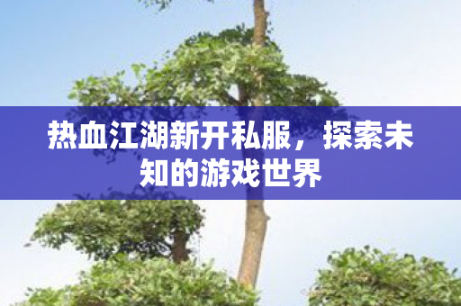 探索未知的游戏世界图片