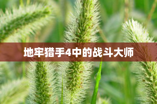 地牢猎手4中的战斗大师图片