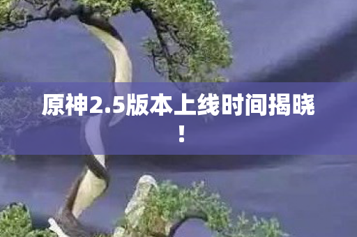 5版本上线时间揭晓图片