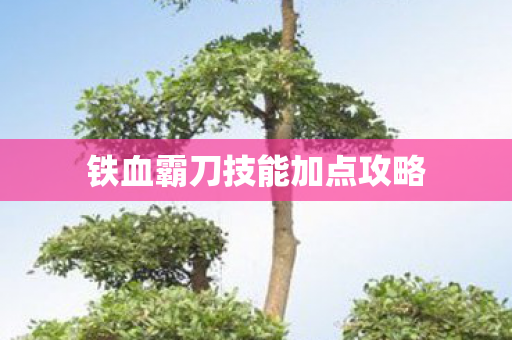 铁血霸刀技能加点攻略图片