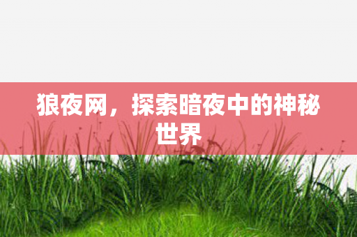 探索暗夜中的神秘世界图片