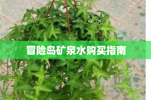 冒险岛矿泉水购买指南图片