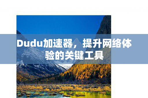 提升网络体验的关键工具图片