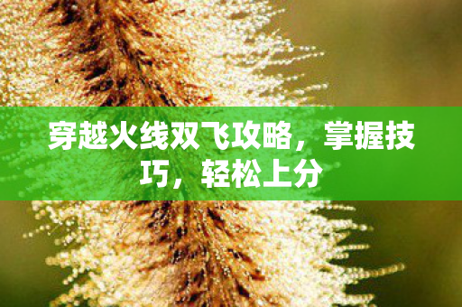 穿越火线双飞攻略图片