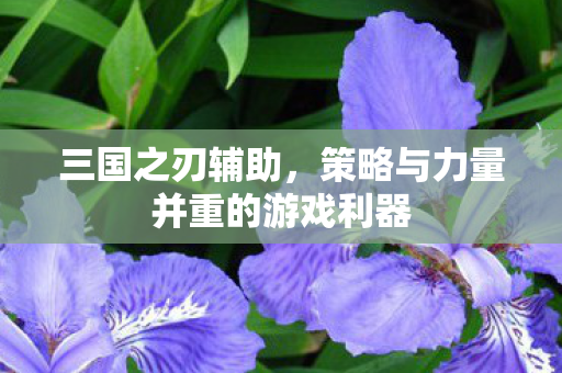 策略与力量并重的游戏利器图片