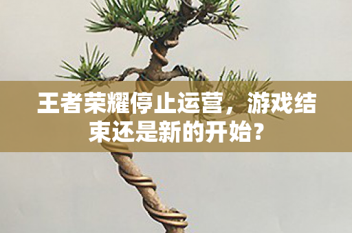 游戏结束还是新的开始图片