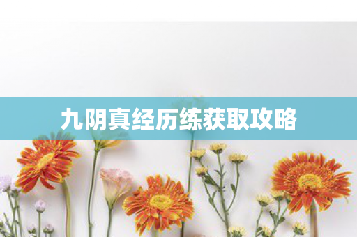 九阴真经历练获取攻略图片